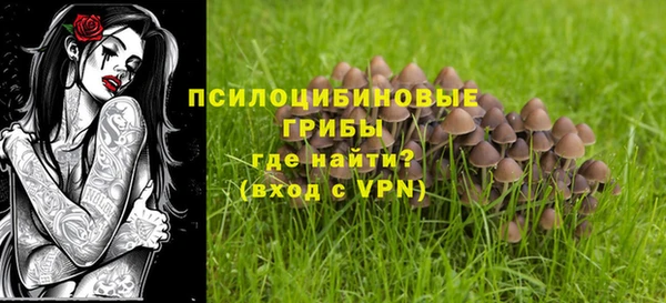 таблы Алексеевка
