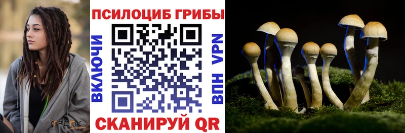 MEGA маркетплейс  Карачев  сайты даркнета формула  Псилоцибиновые грибы MAGIC MUSHROOMS 